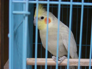 DSCN5829.JPG