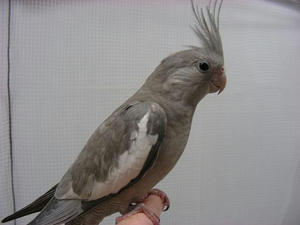 DSCN5836.JPG