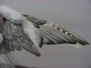 DSCN5840.JPG