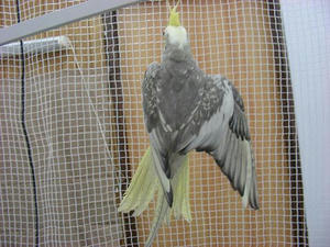 DSCN5845.JPG
