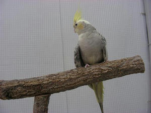 DSCN5849.JPG