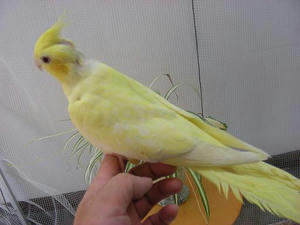 DSCN5892.JPG