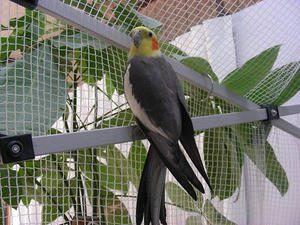 DSCN5904.JPG