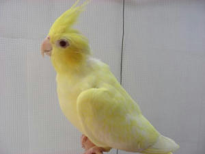DSCN5895.JPG