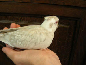 DSCN5968.JPG