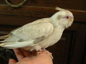DSCN5971.JPG