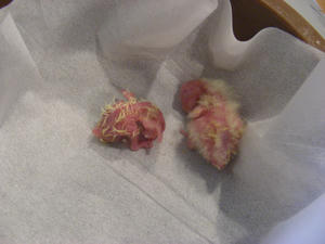 DSCN6034.JPG