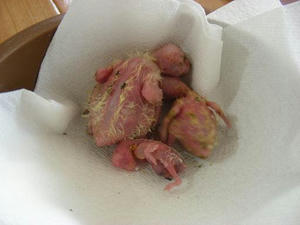 DSCN6047.JPG