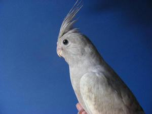 DSCN6151.JPG