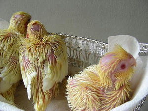DSCN6162.JPG