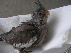 DSCN6173.JPG