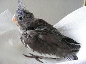 DSCN6181.JPG