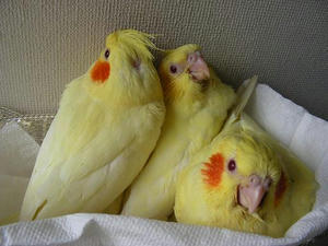 DSCN6222.JPG