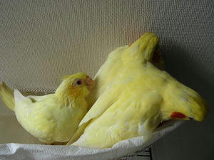DSCN6229.JPG