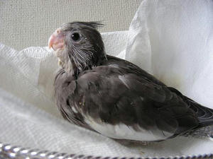 DSCN6244.JPG