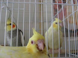 DSCN6261.JPG