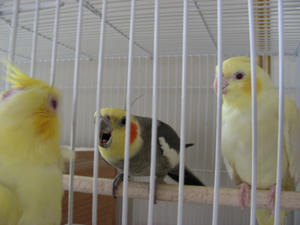 DSCN6259.JPG