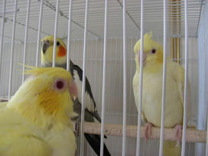 DSCN6258.JPG