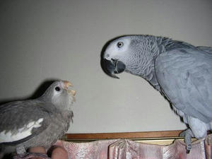 DSCN6270.JPG