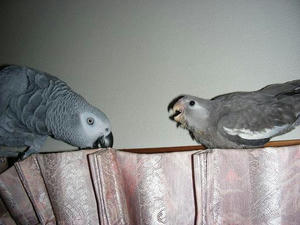 DSCN6271.JPG