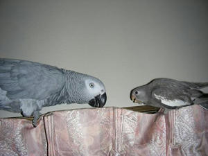 DSCN6273.JPG