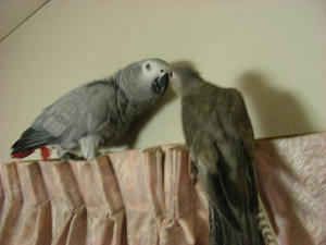 DSCN6291.JPG