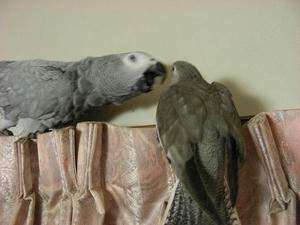DSCN6293.JPG