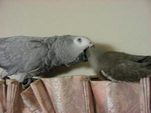 DSCN6297.JPG