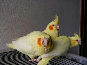 DSCN6233.JPG