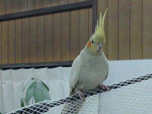 PAP_0198.jpg