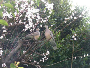 DSCN6320.JPG