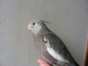 DSCN6327.JPG
