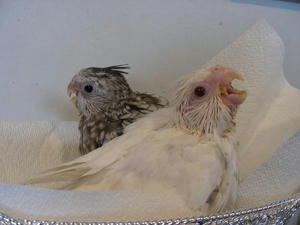 DSCN6352.JPG