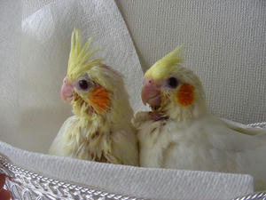 DSCN6355.JPG