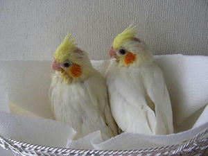 DSCN6360.JPG