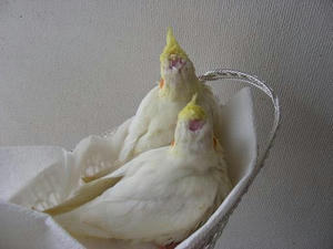 DSCN6366.JPG