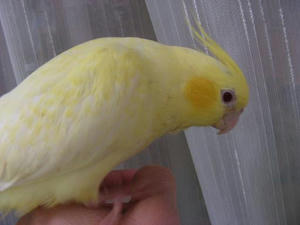 DSCN6494.JPG