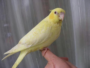DSCN6491.JPG