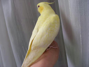 DSCN6488.JPG
