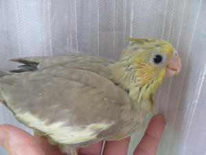 DSCN6487.JPG
