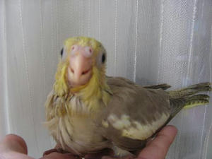 DSCN6479.JPG