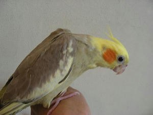 DSCN6755.JPG