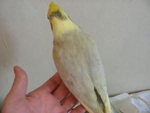 DSCN6756.JPG