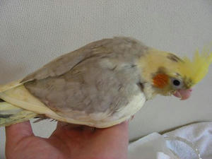 DSCN6758.JPG