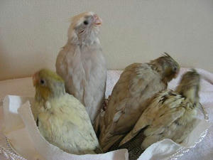 DSCN6765.JPG