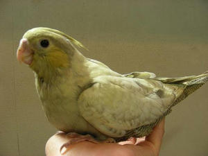 DSCN6979.JPG