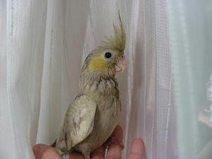 DSCN7361.JPG