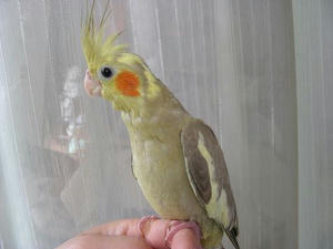 DSCN7368.JPG