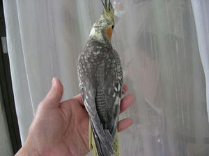 DSCN7380.JPG