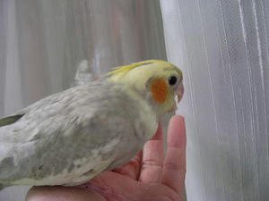 DSCN7384.JPG